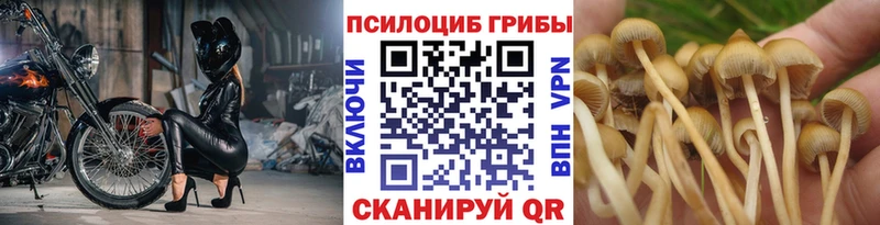 Галлюциногенные грибы ЛСД  MEGA ссылка  Козьмодемьянск 